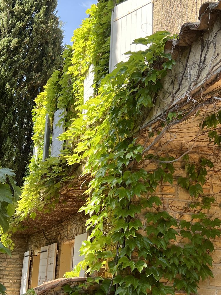 Belle bastide à Sanary