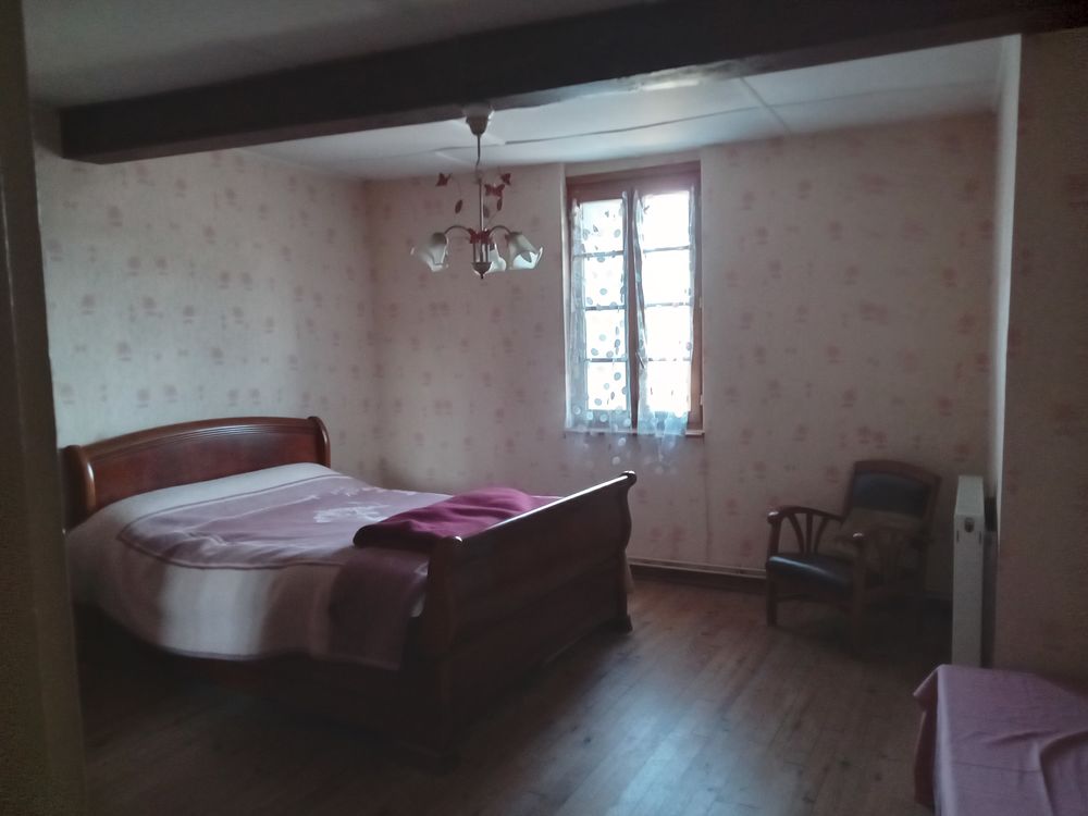 GRANDE MAISON DE FAMILLE, AVEC VERGER VUE PYRENNEES