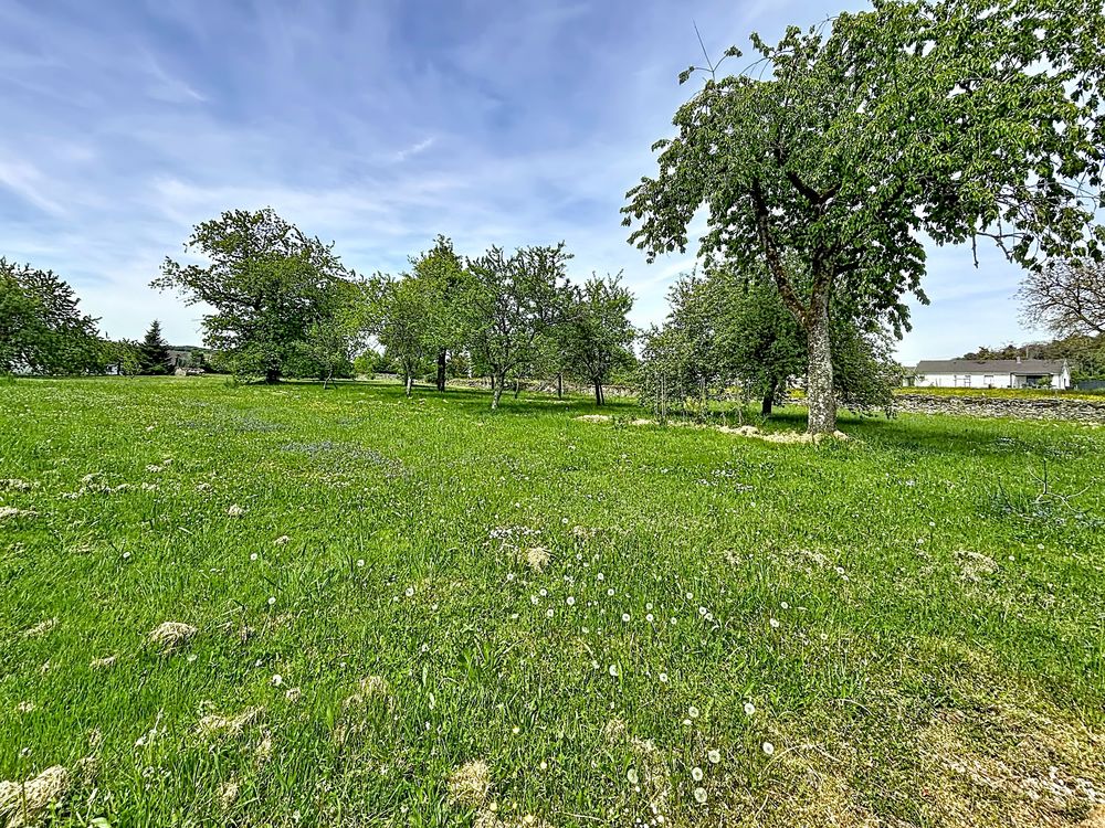 ? Maison de caractère avec dépendances + 3 448 m² de terrai