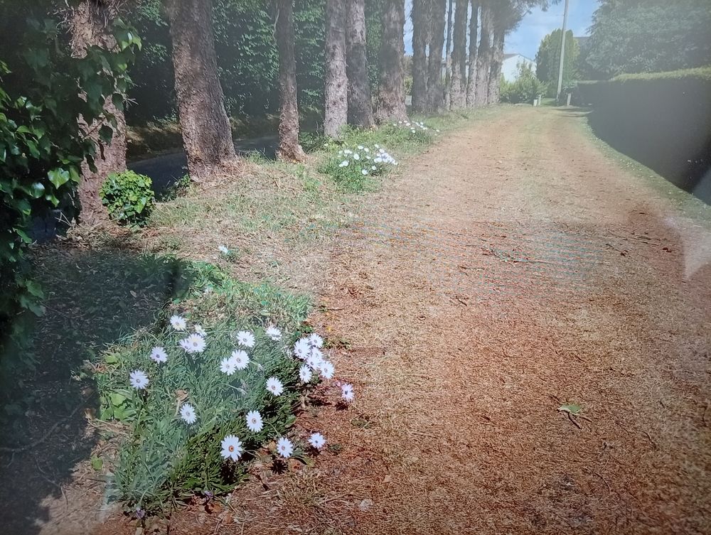 Maison 5 pièces Bretagne Nord