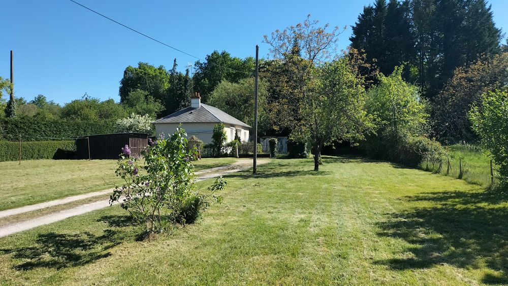 Maison avec grand terrain arboré ,Bracieux, Sologne