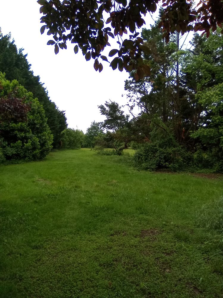 MAISON A ETAGE 266M2 + JARDIN 4500M2