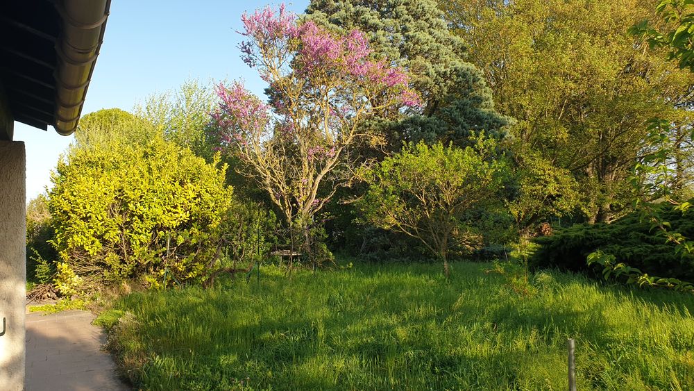Maison 5 pièces 128 m2 avec terrain 2116 m2