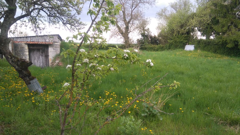 Ancienne ferme