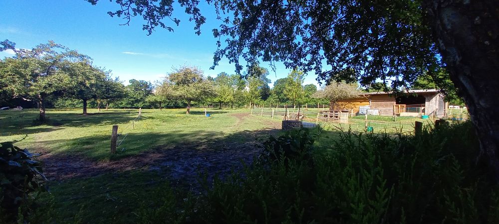 Maison campagne 140m² avec prairie attenante de 1 ha