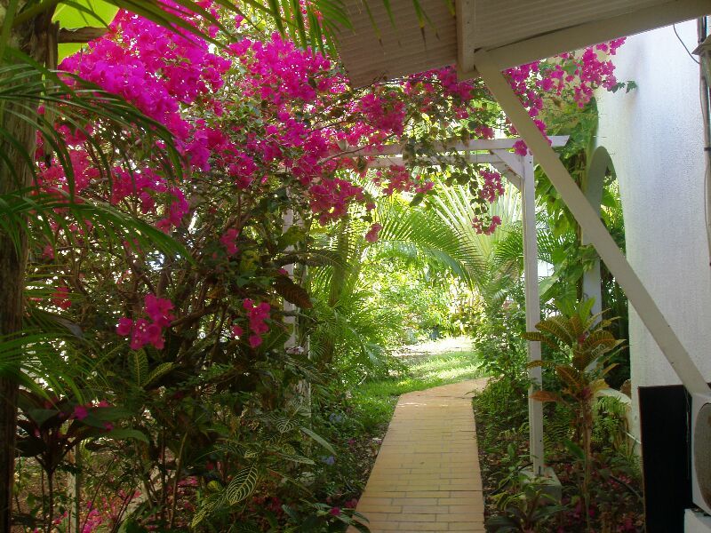 F1 2 terrasses , jardin tropical