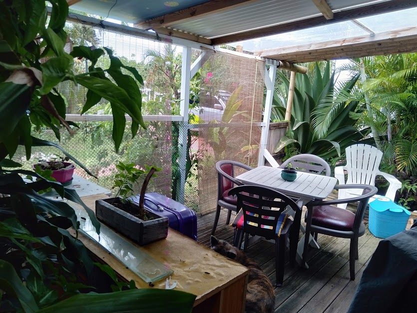 F1 2 terrasses , jardin tropical