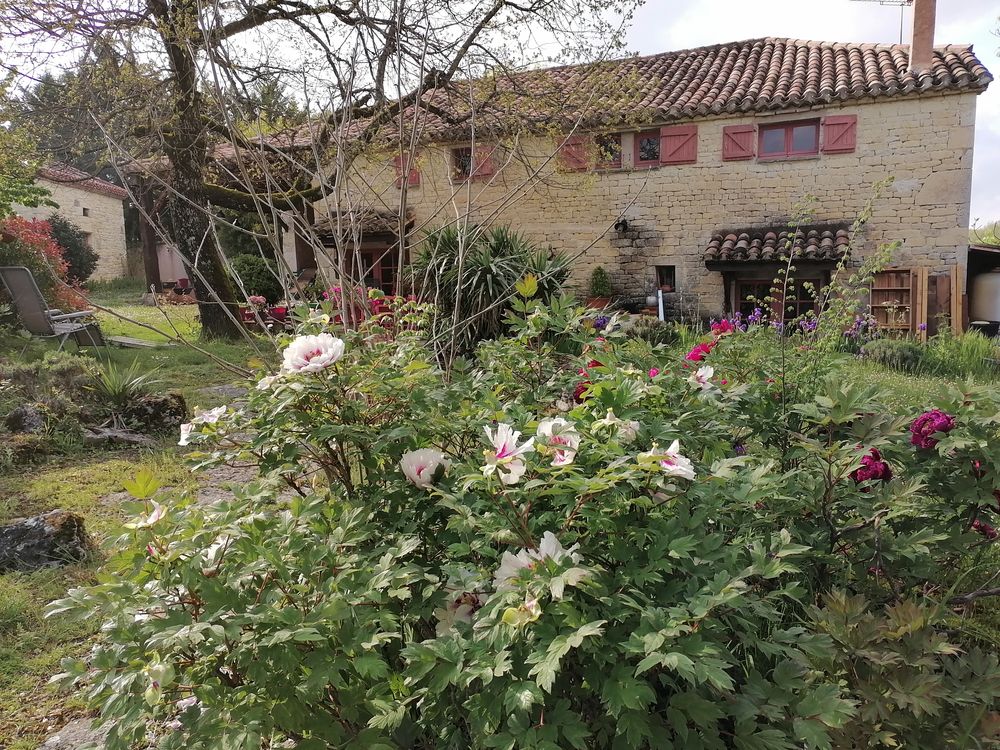 Ensemble immobilier typique lotois sur 12000 M2 de terrain