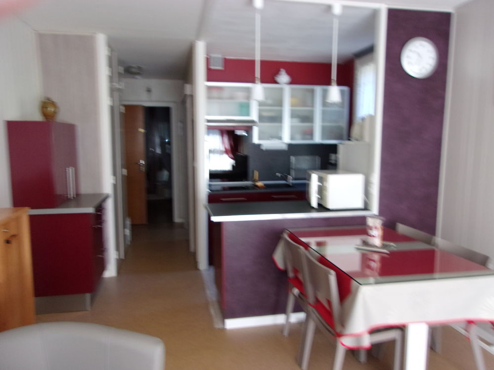 Bel appartement 38m² au Mont Dore