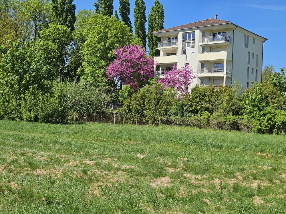 Grand appartement F2