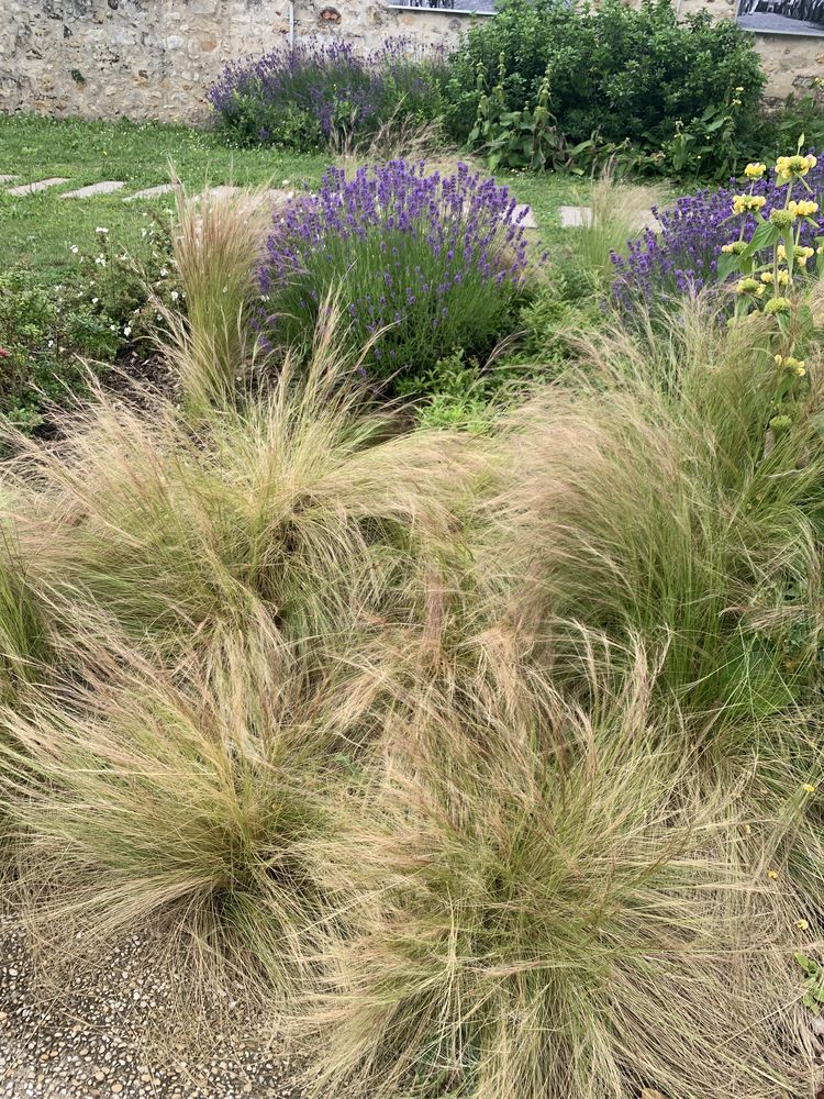 Proche gare rare appart de 2 pièces avec jardin clos 1200€