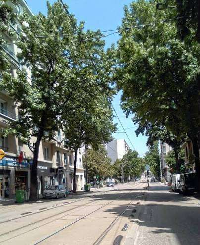 Grenoble île verte