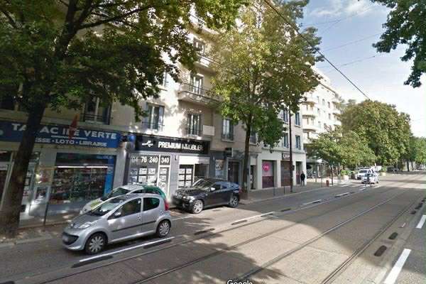 Grenoble île verte
