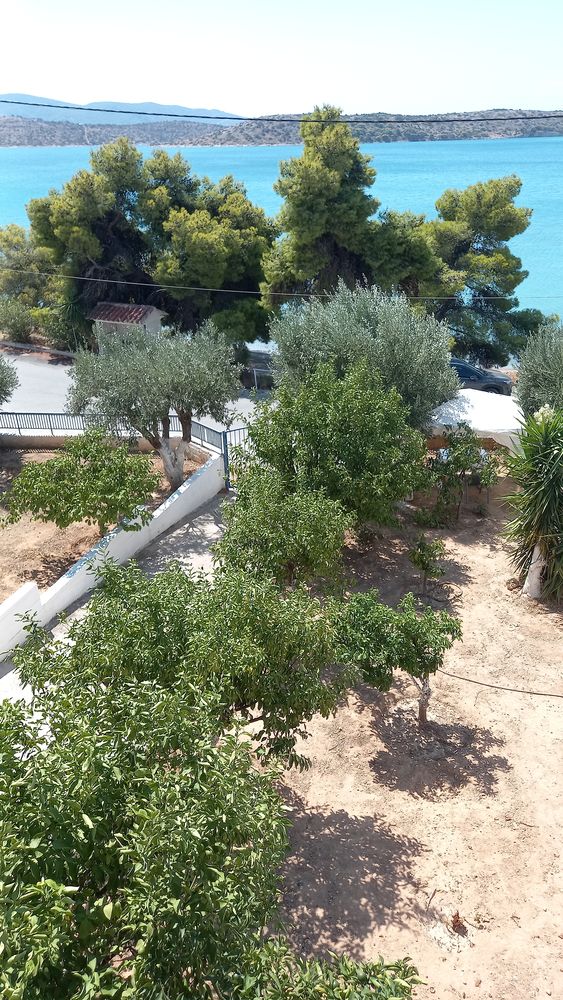 https.://maison-grece-saronique-face-mer.fr