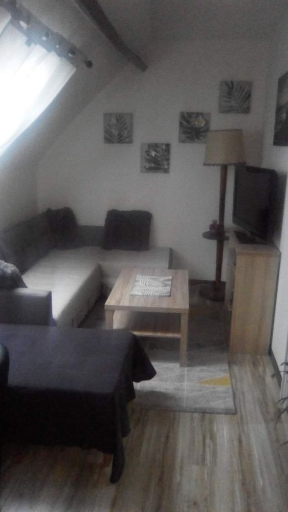 APPARTEMENT MEUBLE 30M2 ANICHE + GARAGE