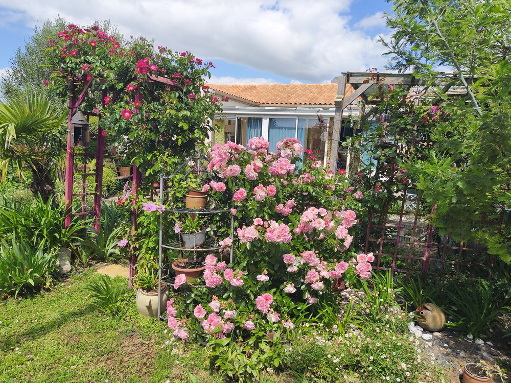 Maison de plein pied ,terrain arboré sans vis à vis