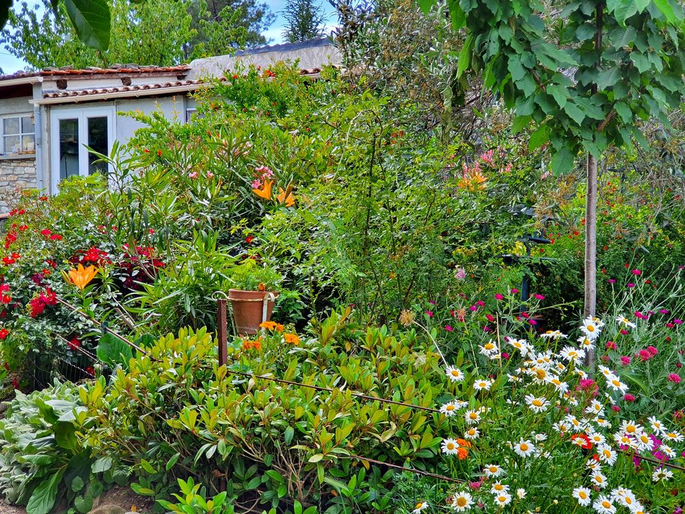 Maison en pierre 1500 m² jardin cols