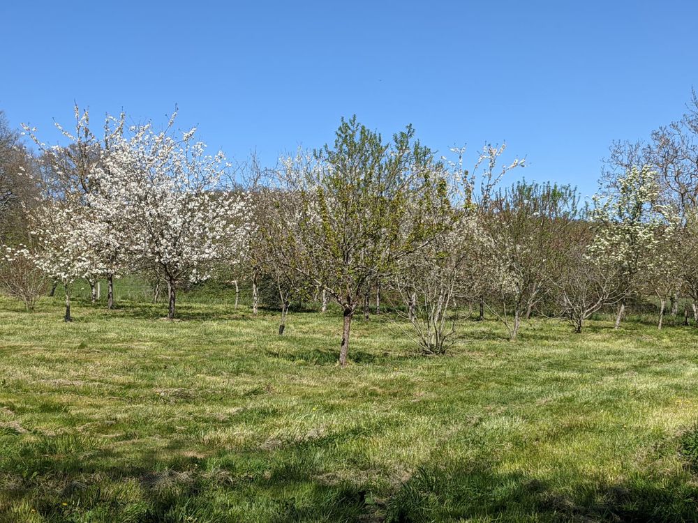Authentique domaine rural à restaurer sur 11 hectares d'un s