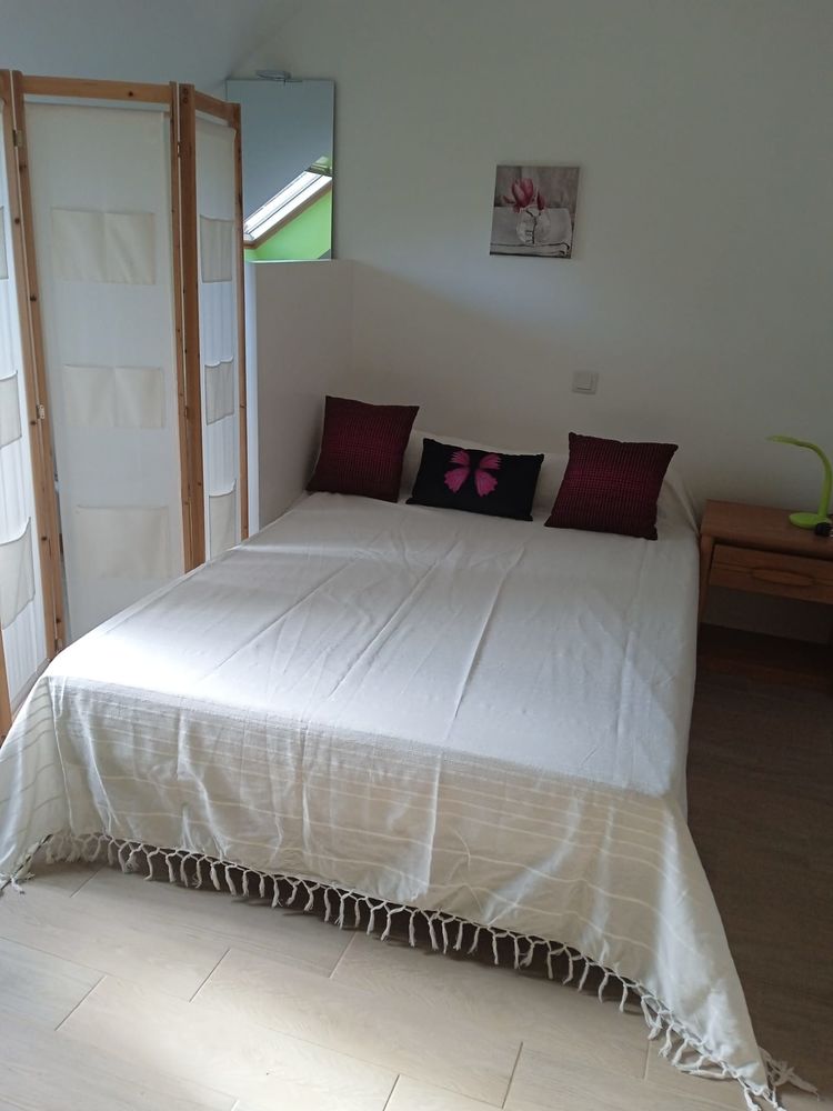 T1 / Duplex