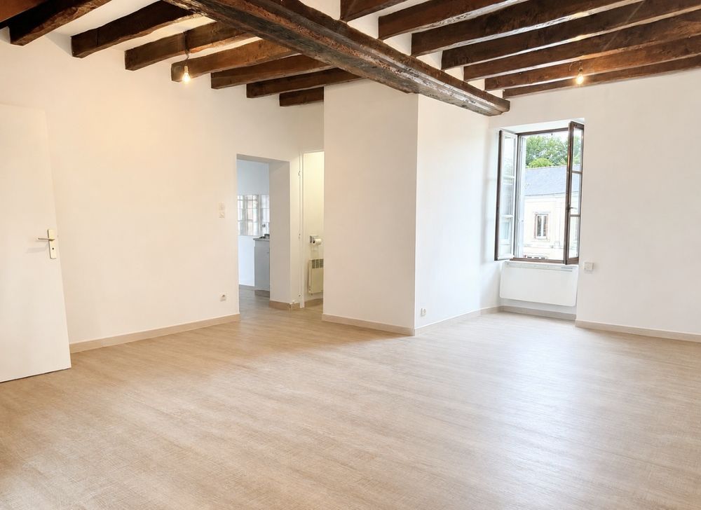 Appartement Duplex refait à neuf centre ville Durtal