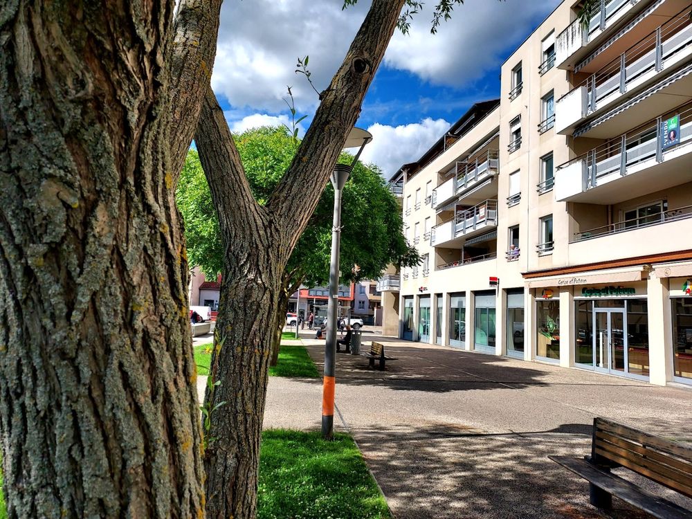 CRAPONNE Hyper-centre Appartement T4 90 m² avec terrasse.