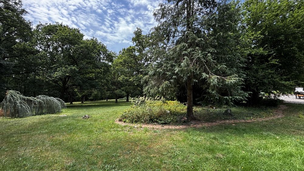 Propriété avec bois attenant et bord de rivière