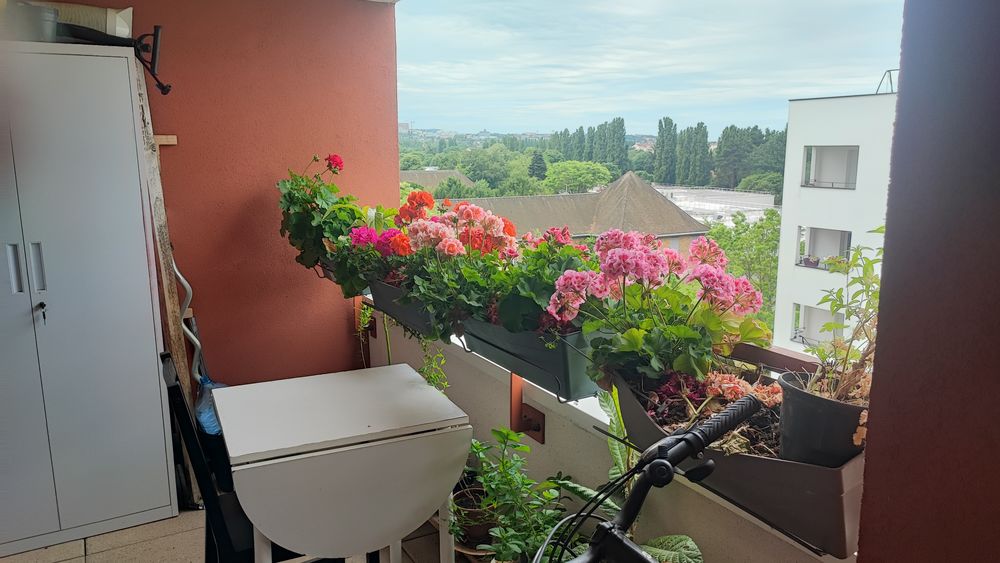 je un appartement F2 a neuilly sur marne 37m2