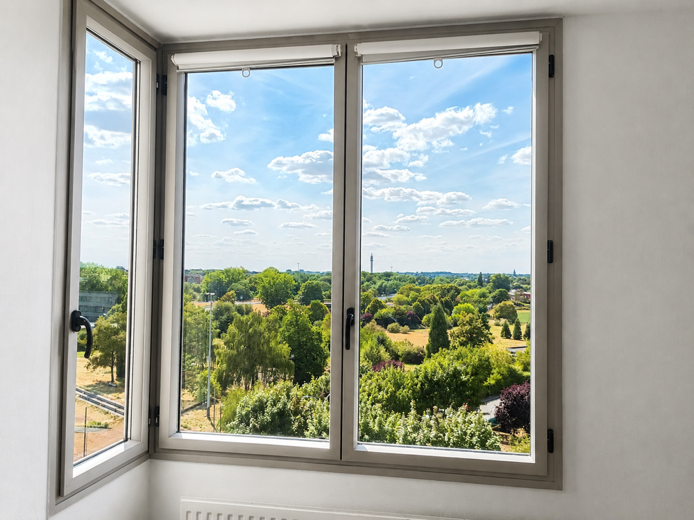T3 La Madeleine, 75m2, salon 30 m2, Vue dégagée, DPE D