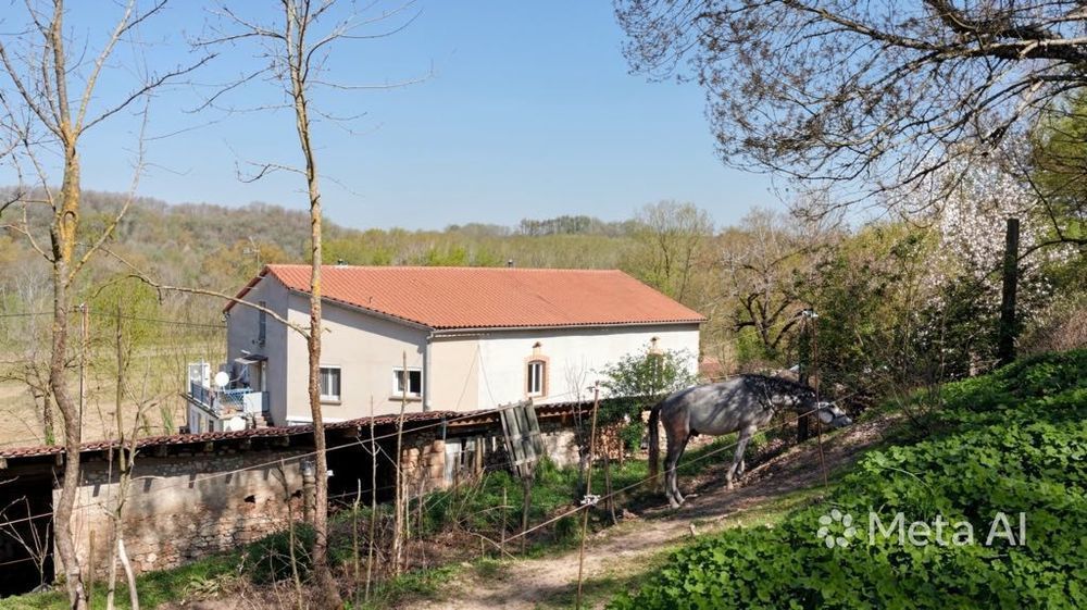 Domaine de caractère avec 2 habitations et 9000 m² de terrain