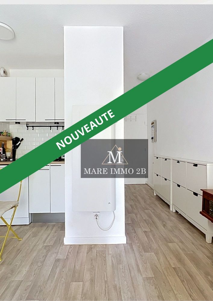 Studio renové avec terrasse et parking
