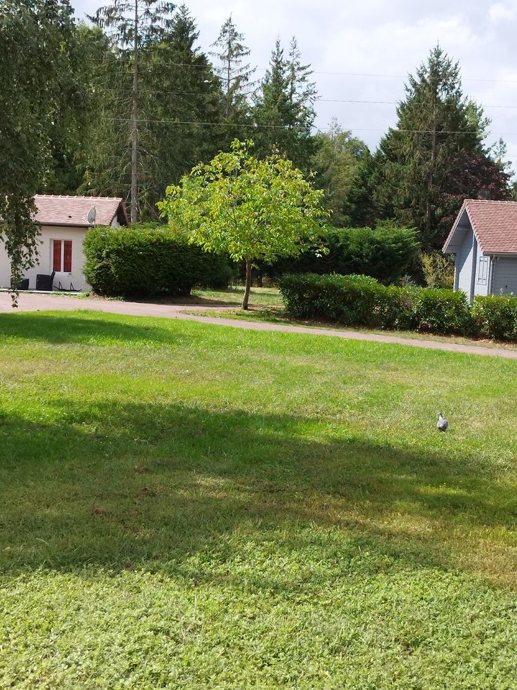 maison familiale paisible à Romorantin