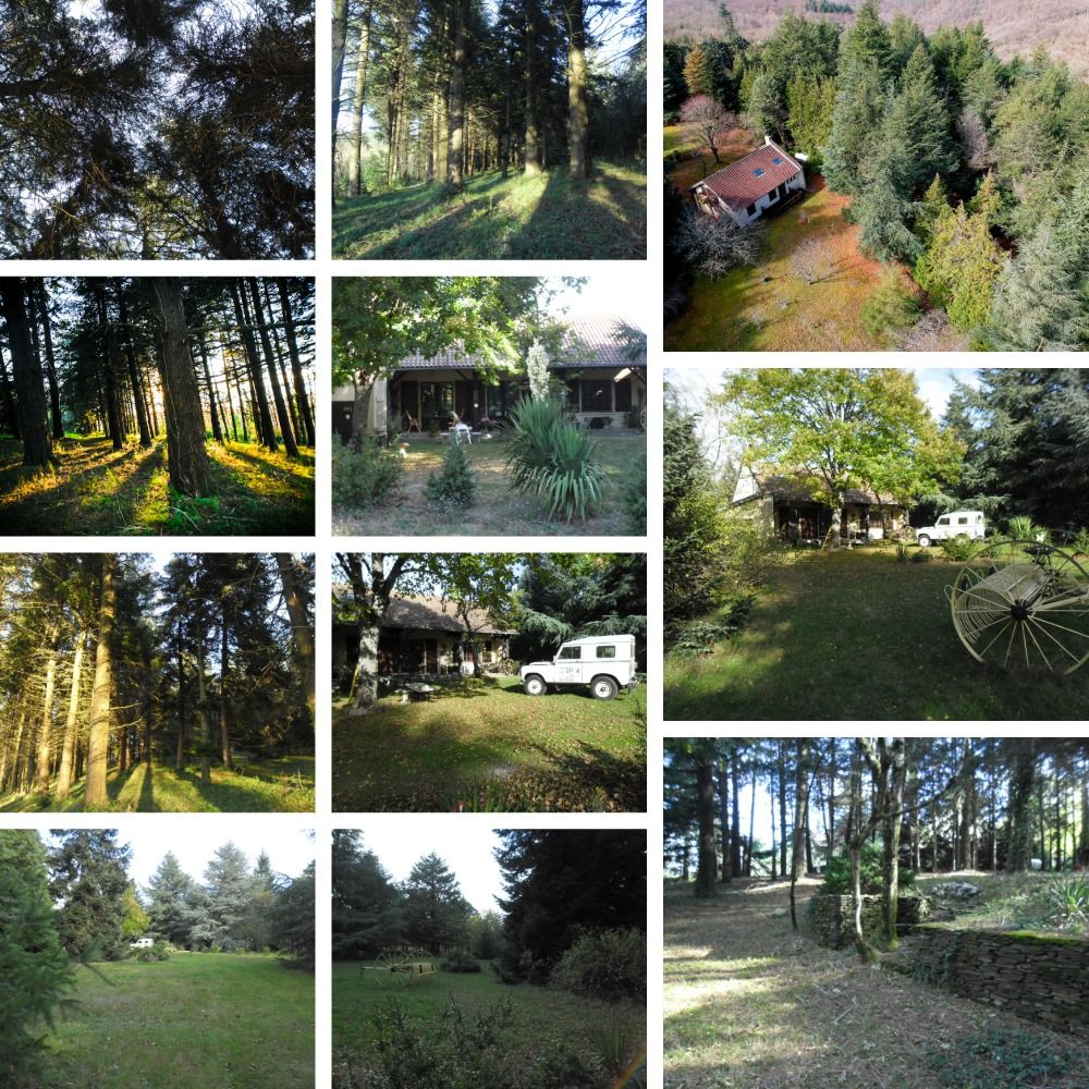Domaine d'exception 152 m² - 1,4 hectare boisé