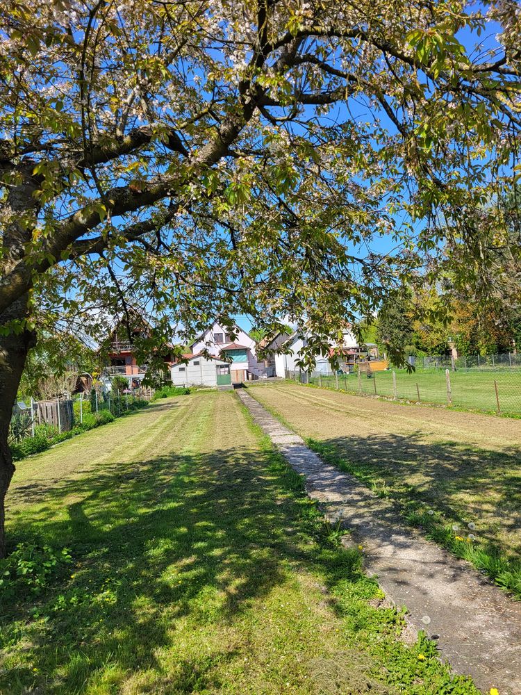 Maison 124 m2 à Hochfelden