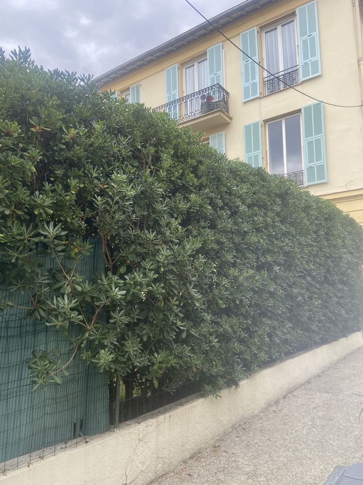 4 pièces avenue Lympia NICE
