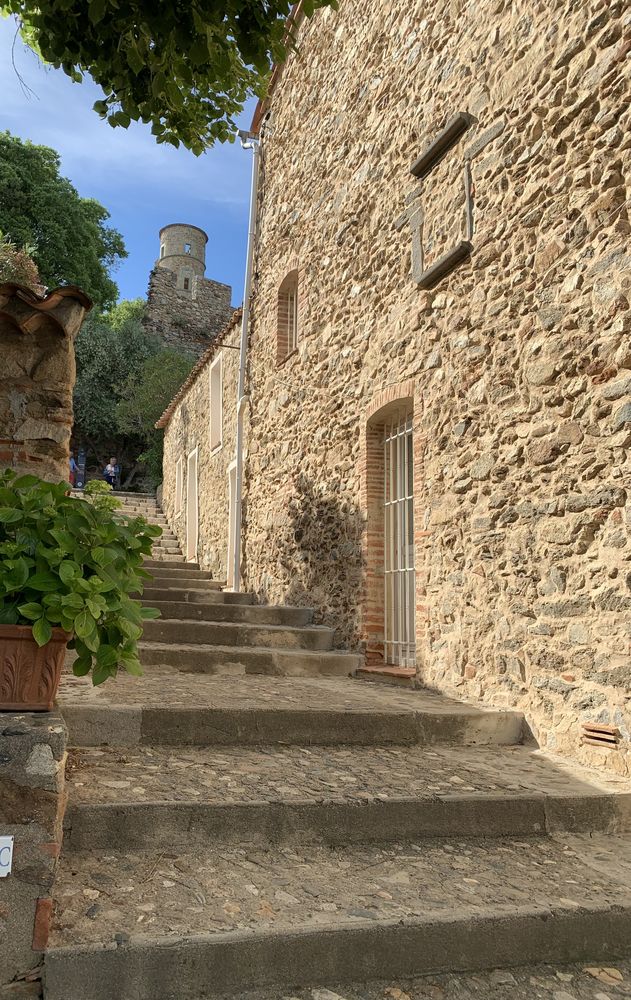 d'une MAISON PROVENCALE RARE à GRIMAUD sous le CHATEAU