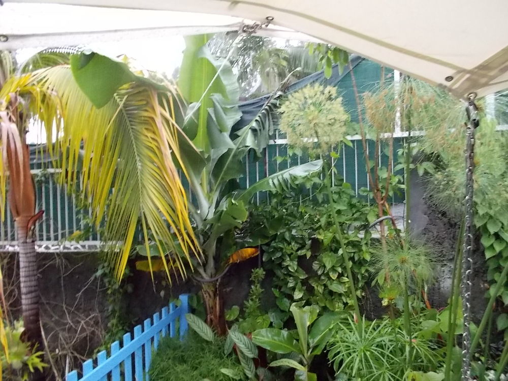 maison tres fort potentiel au Tampon 3 mares . jardin, proch