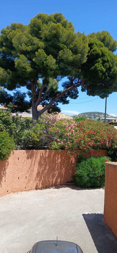 STUDIO BANDOL 24 M2