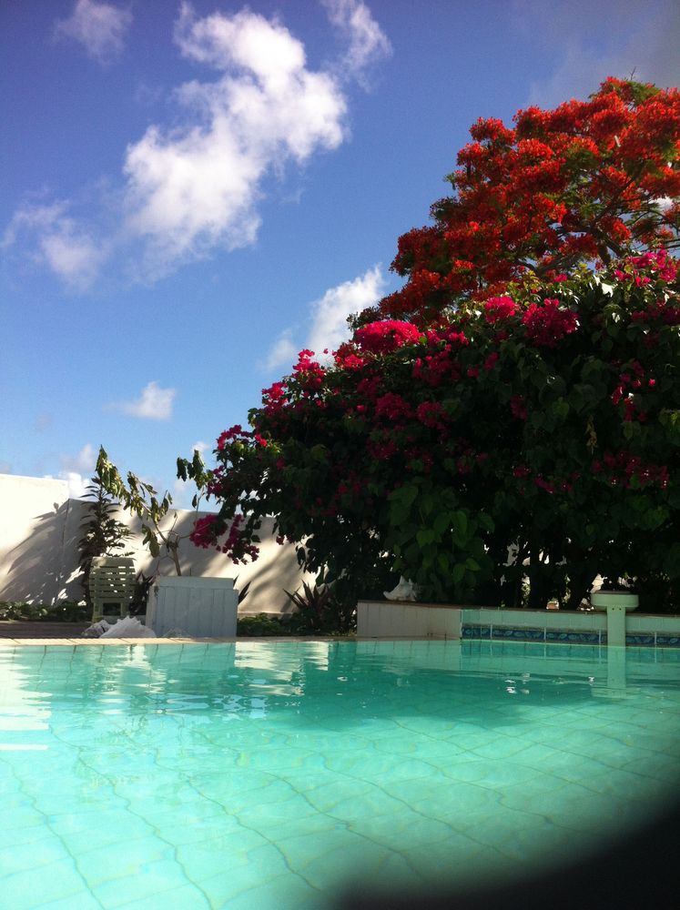 F3 TB vue mer piscine, terrasse