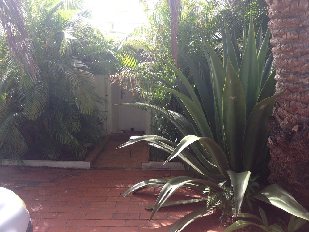 F3 TB vue mer piscine, terrasse