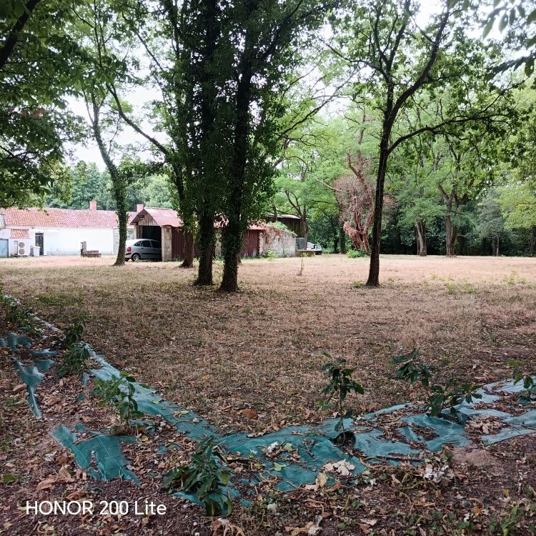 maison 4 pièces 104 m² entouré de 7750 m² de terrain