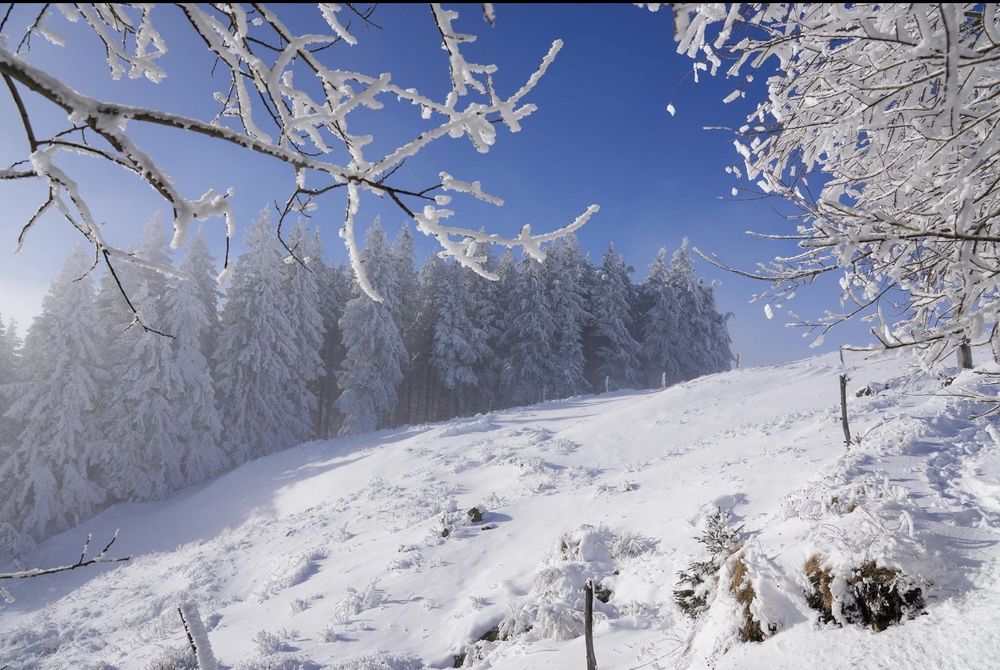 Apparemment , centre mont dore