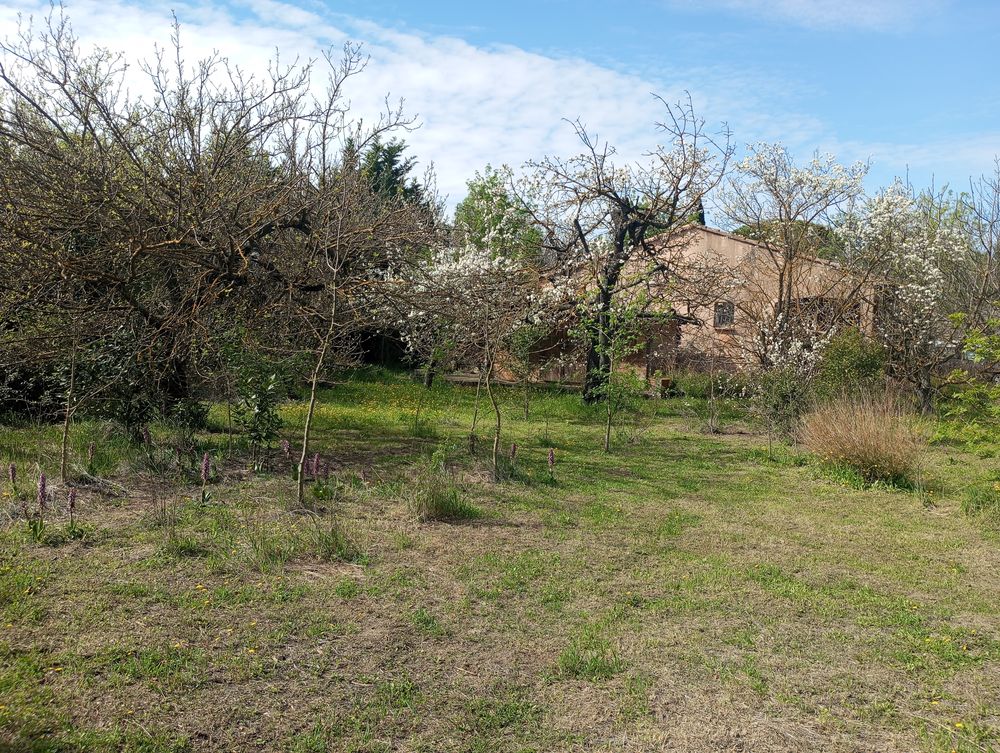 Maison 4 pièces 105 M2 sur terrain de 1360 M2 plein sud