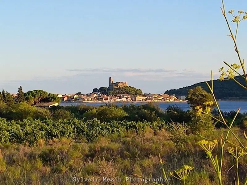 Beau 2 pièces Gruissan