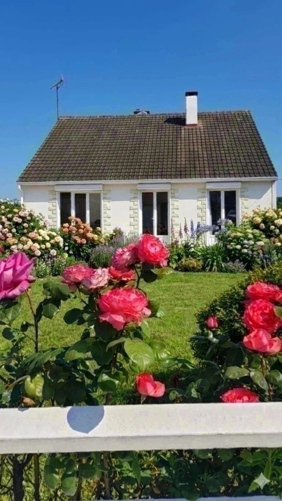 Baisse de prix maison 5 chambres et sous-sol total terrain
