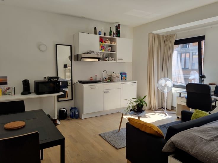 Studio une chambre de 24 m²récemment rénovée sur Strasbourg
