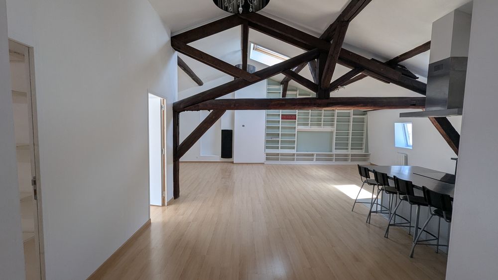 Grand Loft lumineux Nancy Centre