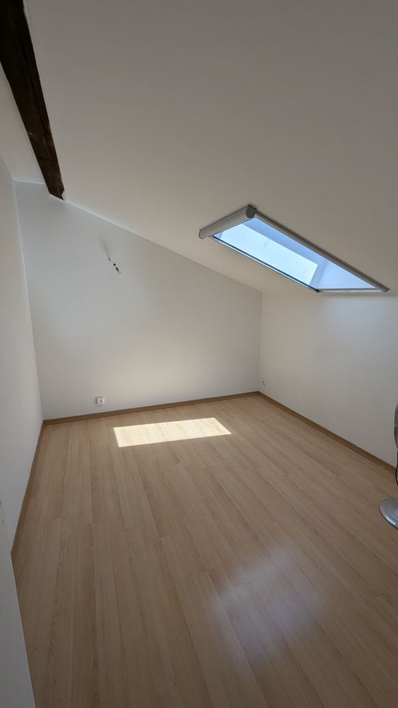 Grand Loft lumineux Nancy Centre