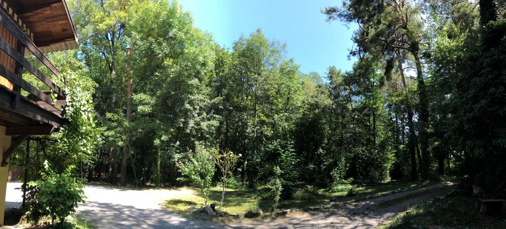 Maison gap sud 3000m² de terrain clos et arboré