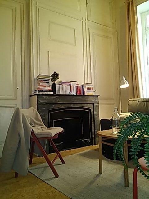 Studio 4 rue Giuseppe Verdi 3è étage Lyon1er