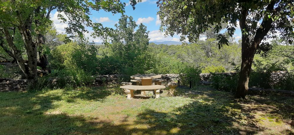 Maison 6P Piscine et jardin